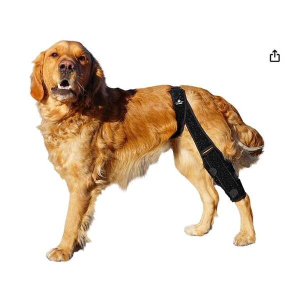 NEW Adjustable Dog Knee Brace - Picture 3 of 4